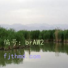 ļ